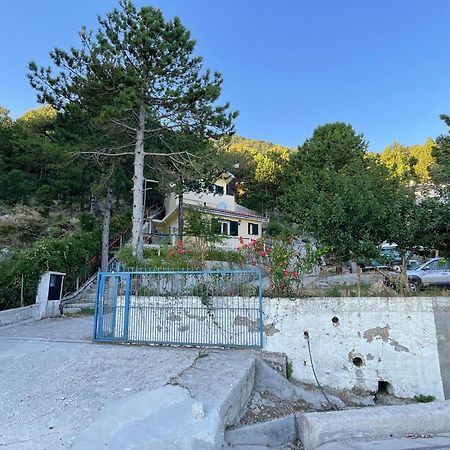 Eagle'S Nest Apartment Palase Екстериор снимка