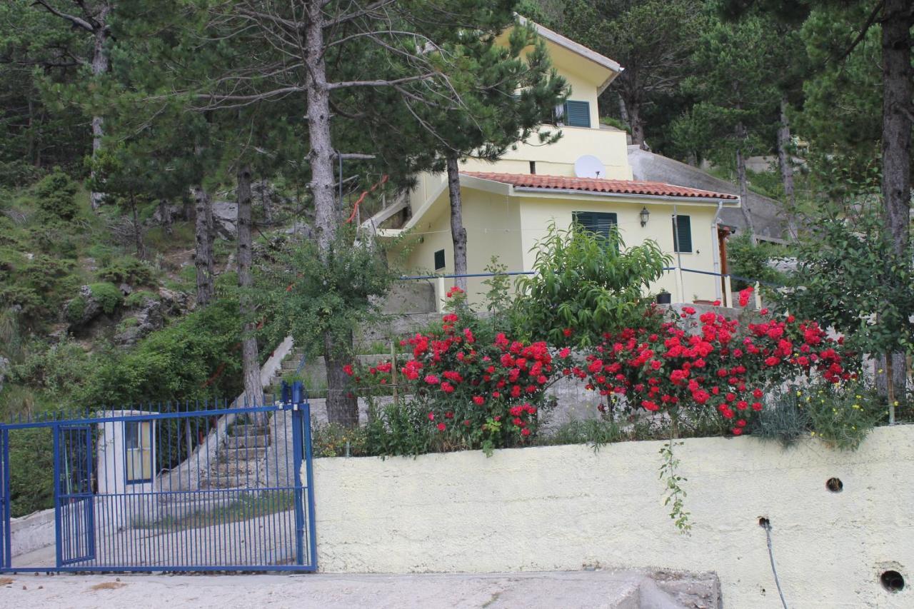 Eagle'S Nest Apartment Palase Екстериор снимка